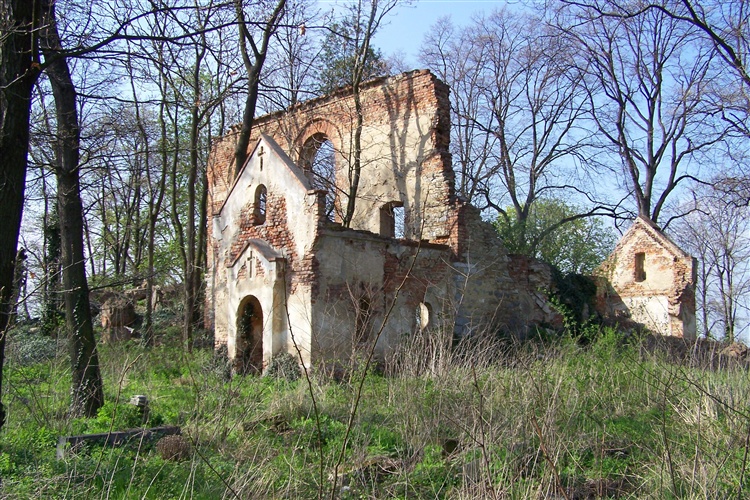 Wyszonowice Ruiny kościoła (XVI w.) wraz z zespołem cmentarnym (XIX w