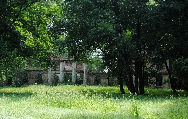Parcice Ruiny pałacu (XIX w.). Atrakcje turystyczne Parcic. Ciekawe