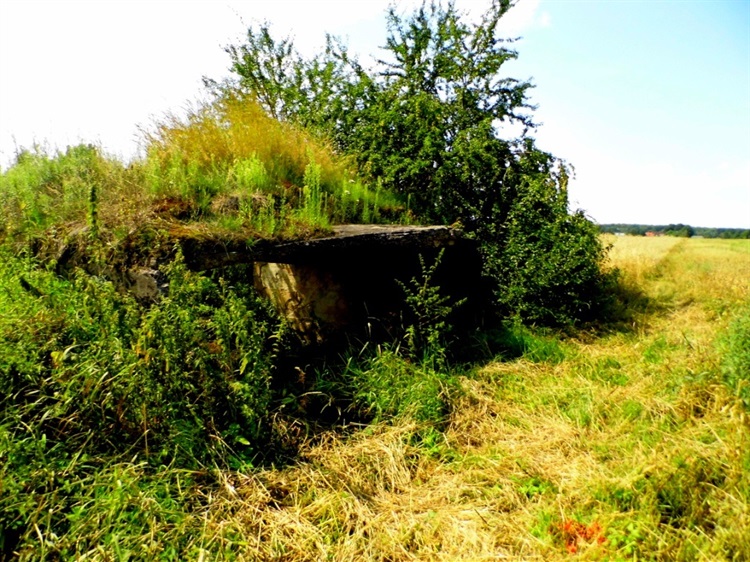 Szastarka Skład paliwa. Atrakcje turystyczne Szastarki. Ciekawe