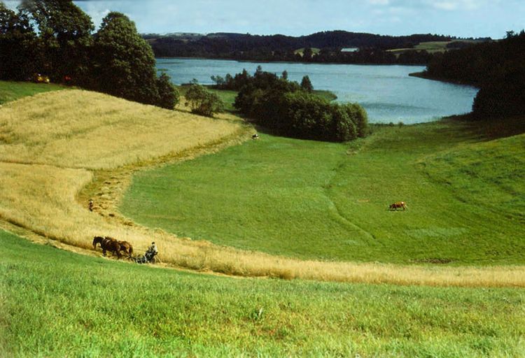 Smolniki Filmowy widok. Atrakcje turystyczne Smolnik. Ciekawe miejsca